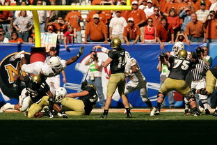 中国篮球联赛裁判员职业培训体系建设，2020篮球裁判培训